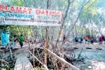 Rahasia Pulau Burung Subang: Surga Tersembunyi di Pesisir Utara!